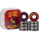 BEARING G3 FABIANA DELFINO