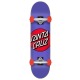Spotlight Dot Mini 7.75in X 30.00in Santa Cruz Skateboard Complete