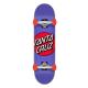 Spotlight Dot Mini 7.75in X 30.00in Santa Cruz Skateboard Complete
