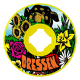 55mm Eric Dressen Pup Vomit Mini Green Hardline 97A