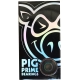 PG PRIME BEARINGS