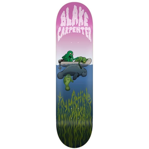 8.38 CARPENTER MANATEE
