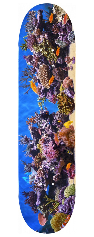 MAPLE FISH TANK K20