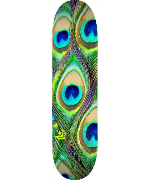 PEACOCK FEATHER MAPLE K20