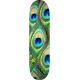 PEACOCK FEATHER MAPLE K20