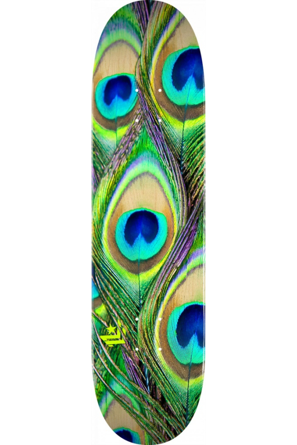 PEACOCK FEATHER MAPLE K20