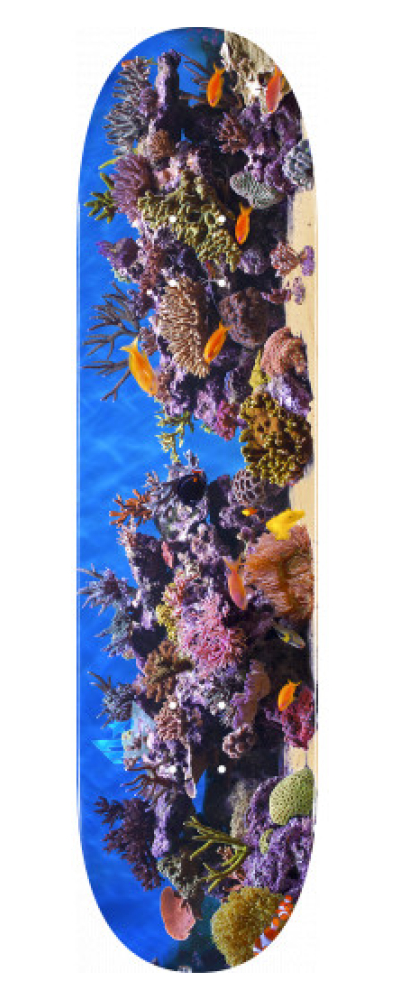 MAPLE FISH TANK K20