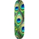 PEACOCK FEATHER MAPLE K20