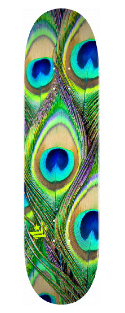 PEACOCK FEATHER MAPLE K20