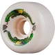 DRAGON FORMULA 56X36 93A OFF WHITE