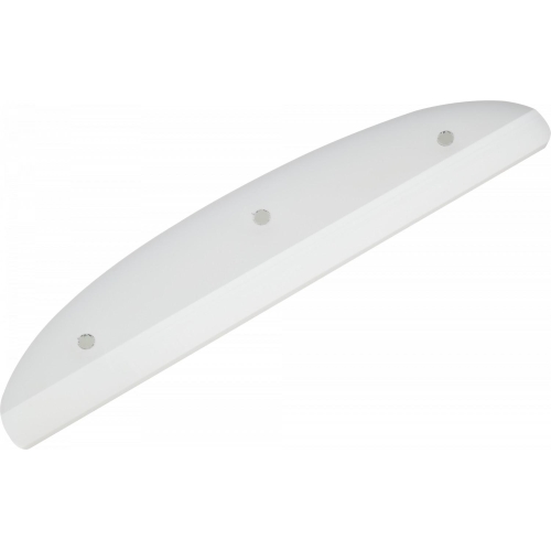 TAILBONE 8" WHITE