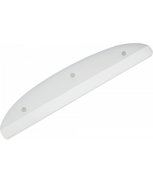 TAILBONE 8" WHITE