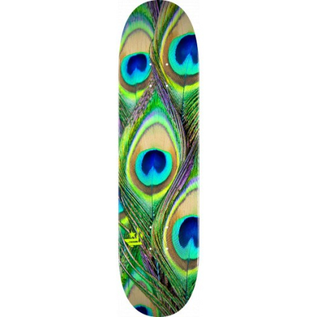 Peacock Feather Maple K20