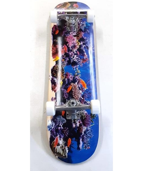 BIRCH FISH TANK 18" K20 8.0
