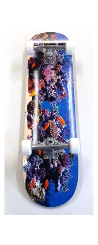 BIRCH FISH TANK 18" K20 8.0
