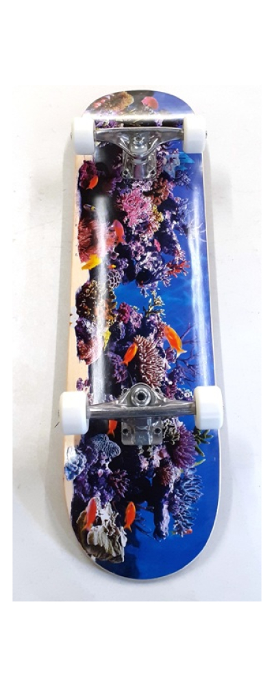 BIRCH FISH TANK 18" K20 8.0