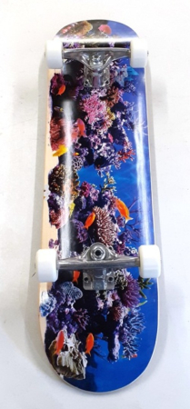 Birch Fish Tank 18" K20 8.0